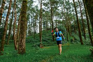 BIB: 
                            <button type="button" onclick="openModal(25021150)" class="btn btn-primary btn-sm float-right btn-popup" data-toggle="modal" data-target=".modal-high-quality">
                        <i class="fas fa-shopping-cart"></i> Add to Cart
                    </button>
                                            <button type="button" onclick="isThisMe(25021150, true)" class="btn btn-success btn-sm float-right btn-popup btn-isme hidden" data-toggle="tooltip" data-placement="bottom" title="นี่คือรูปของคุณใช่ไหม คลิกที่นี่เพื่อเอาเข้าอัลบั้ม">
                        <i class="fas fa-plus"></i> Add to album
                    </button>
                    <button type="button" onclick="isThisMe(25021150, false)" class="btn btn-warning btn-sm float-right btn-popup btn-isnotme hidden">
                        <i class="fas fa-ban"></i> Remove from album
                    </button>